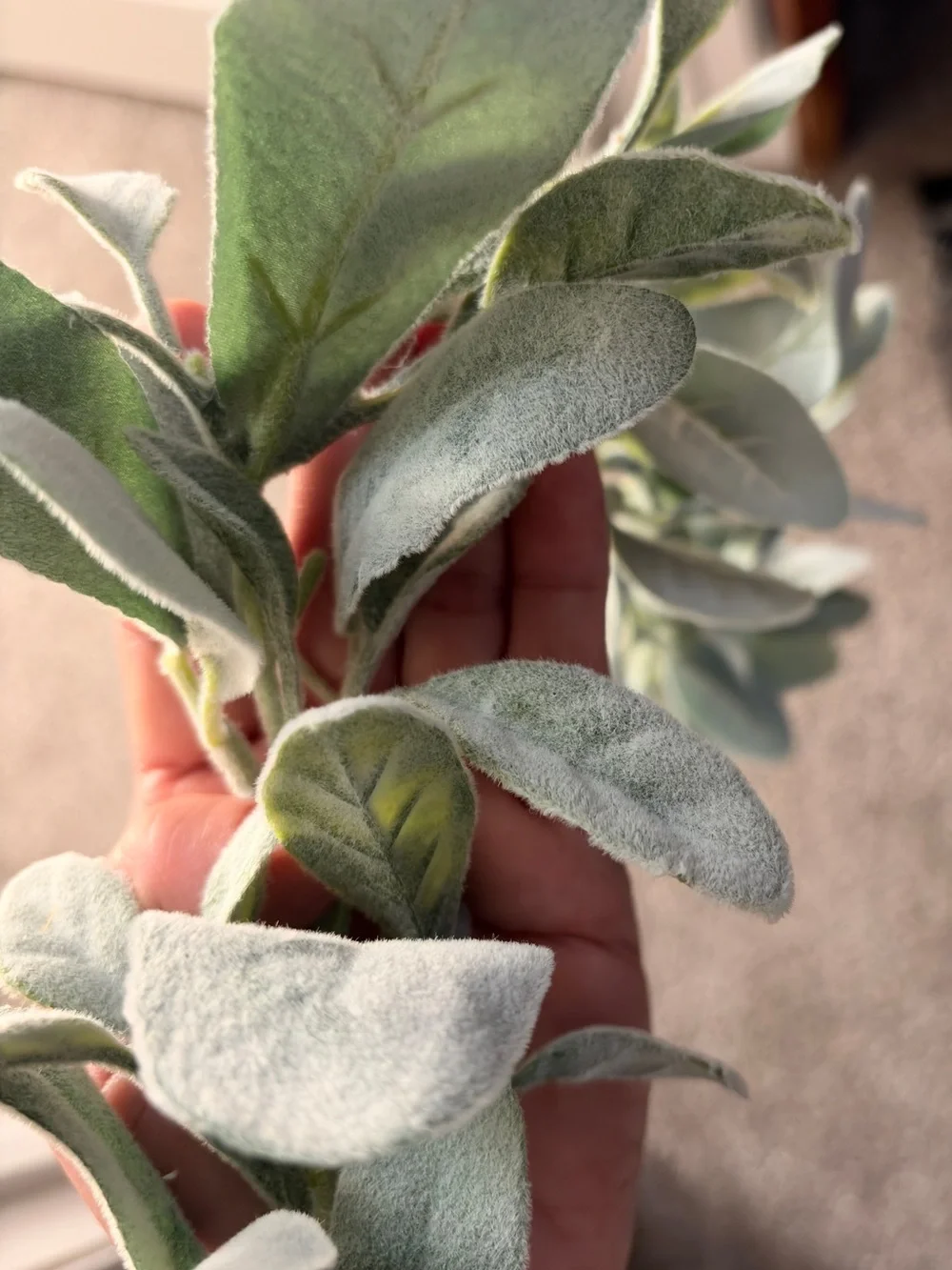 Faux Lambs Ear Stem - Soft Green Home Accent set of 4